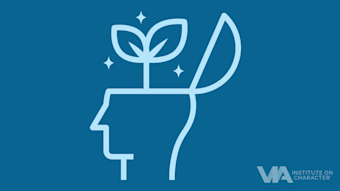 Strengths use and strengths-based leadership turn a growth mindset into innovation, problem-solving, and overall success in the workplace.